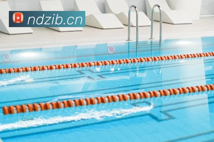 星空官方网页版平台生态图